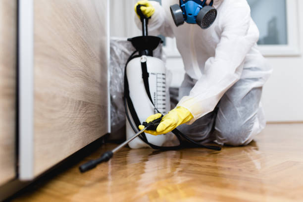 Best Flea Control Services  in Milford, IN