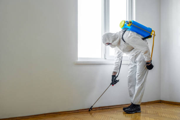 Reliable Milford, IN Pest Control Solutions