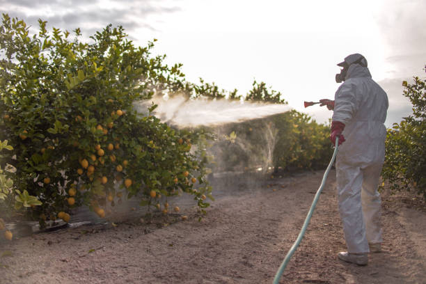 Best Residential Pest Control  in Milford, IN
