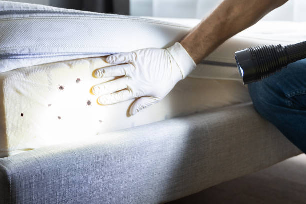 Best Wasp Removal Services  in Milford, IN
